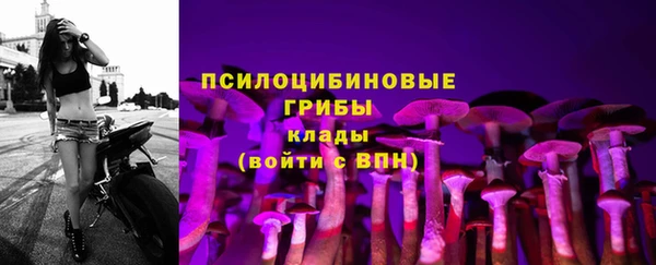 прущий лед Касимов
