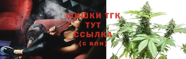 дживик Карпинск