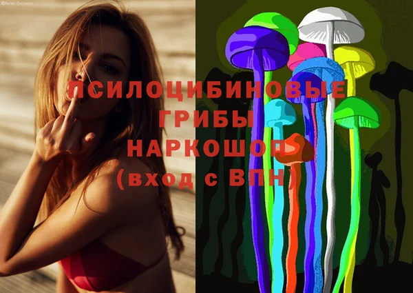 дживик Карпинск
