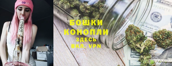 mdpv Киреевск