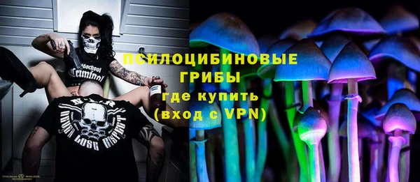 дживик Карпинск