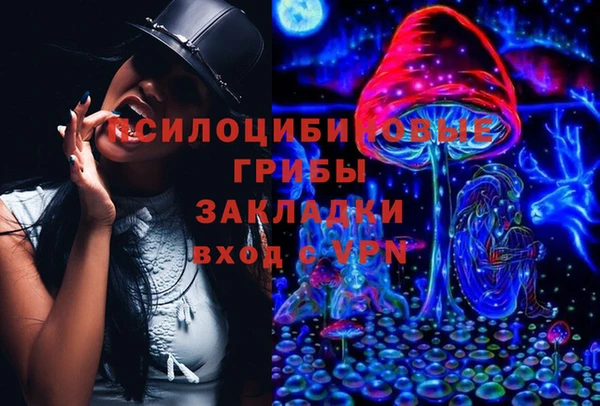 прущий лед Касимов