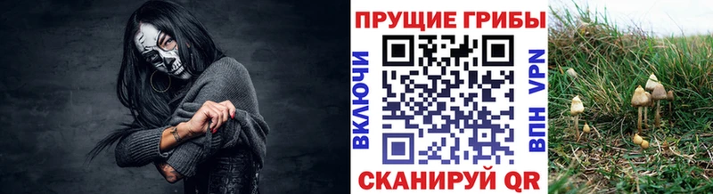 Галлюциногенные грибы GOLDEN TEACHER  кракен ссылки  Княгинино 
